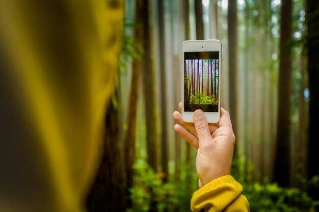 Ключевые функции и технические характеристики сканера Agfa SnapScan e50