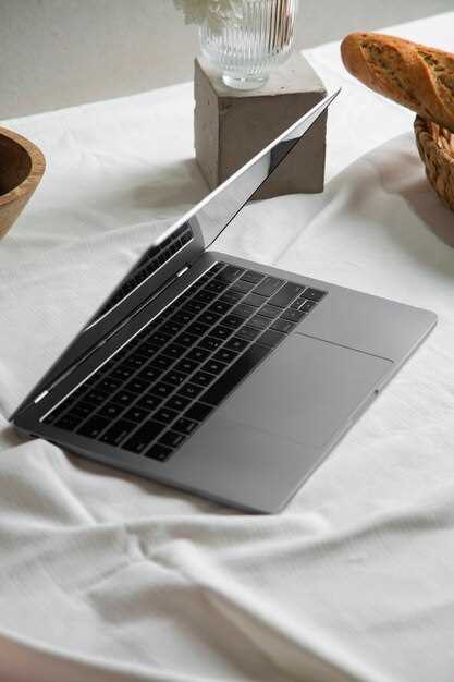 Вес и размеры: насколько портативен ASUS UX 305 для городских поездок