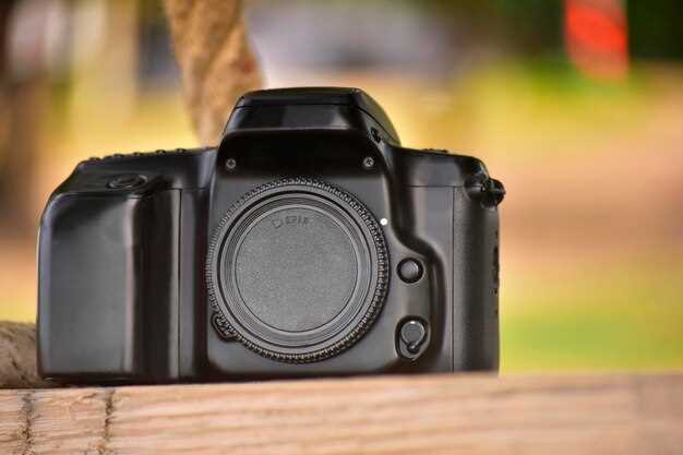 Преимущества Canon 80D при использовании в разных сценариях съемки