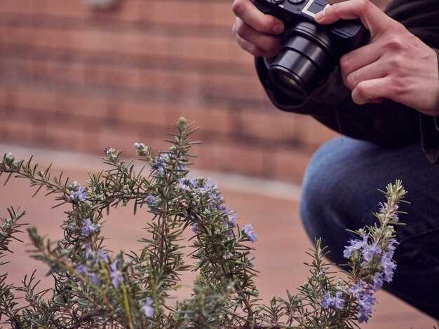 Технические показатели и особенности камеры Canon PowerShot A2300 HD