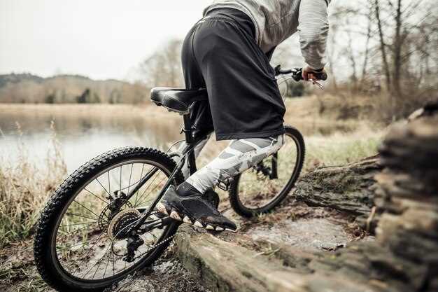 Ключевые характеристики Dean USA Hardtail: что важно знать перед покупкой