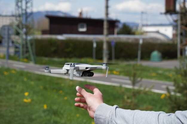 Плюсы и минусы DJI Mini 3 для разных групп пользователей
