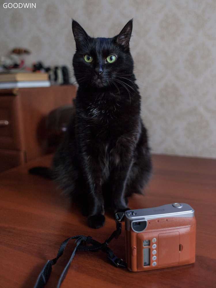 Сравнение Instax Mini 9 с другими моделями Instax