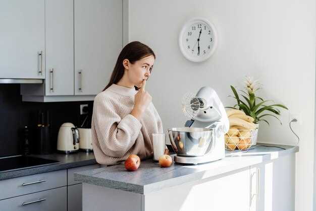 Особенности конструкции и функциональные возможности Kenwood Chef