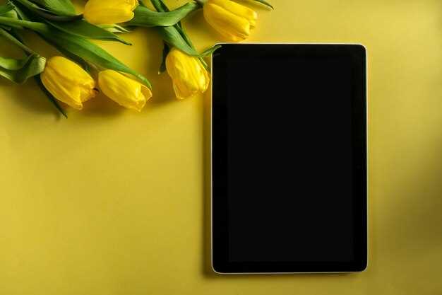 Преимущества, отзывы и советы по использованию Lenovo Tab 3 Plus 8703X