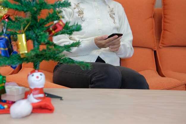 Совместимость с другими системами и аксессуарами