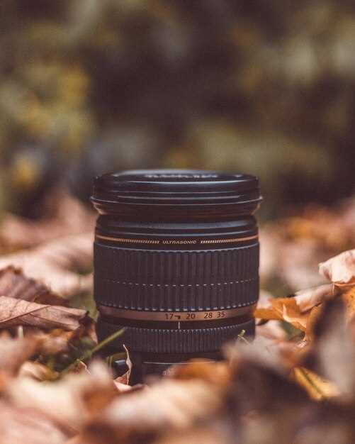 Влияние внешнего вида на восприятие фотографии