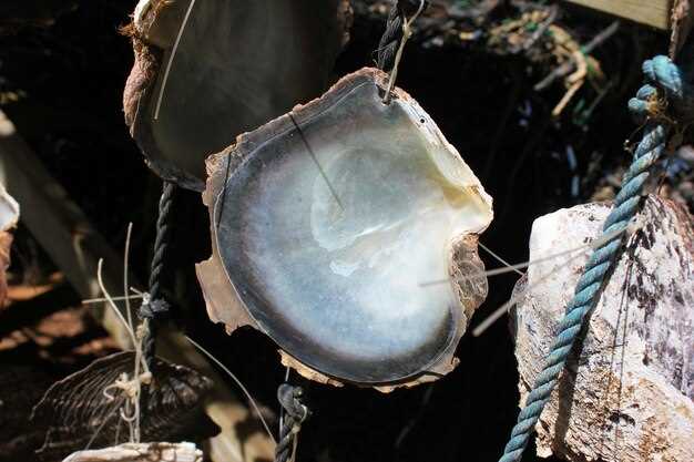 Ошибки новичков при выборе oysters 10 дюймов и как их избегать