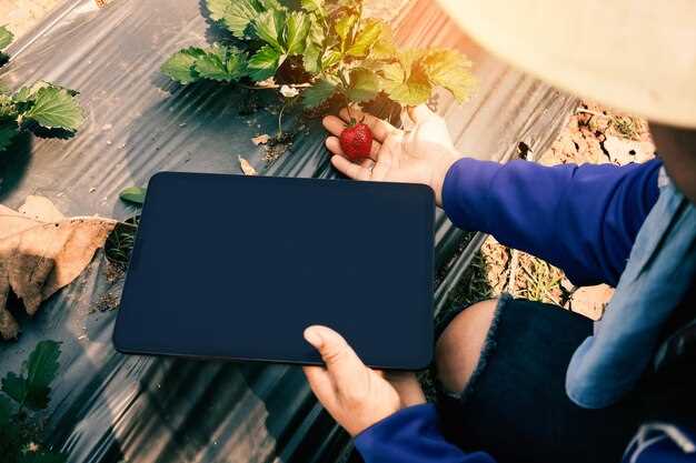 Аккумулятор: время работы и энергопотребление
