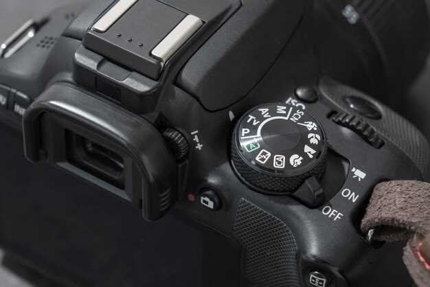 Рынок и стоимость Panasonic DMC LZ20: сколько стоит и где искать лучшую цену