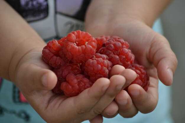 Поиск и устранение распространенных ошибок при работе с Raspberry