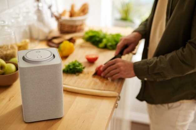 Практические преимущества и особенности звучания Sony SRS-X55