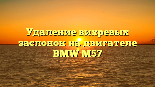 Удаление вихревых заслонок на двигателе BMW M57