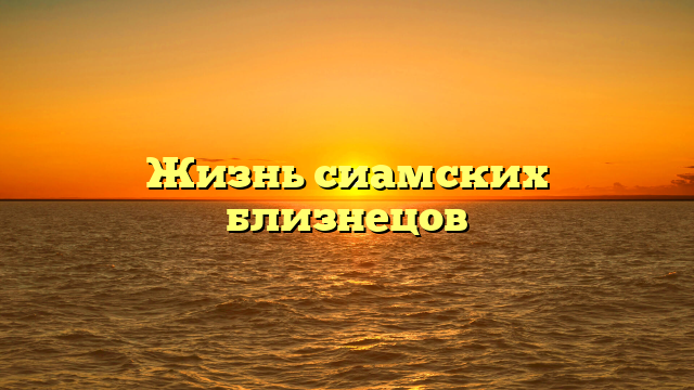 Жизнь сиамских близнецов