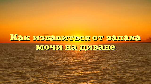 Как избавиться от запаха мочи на диване
