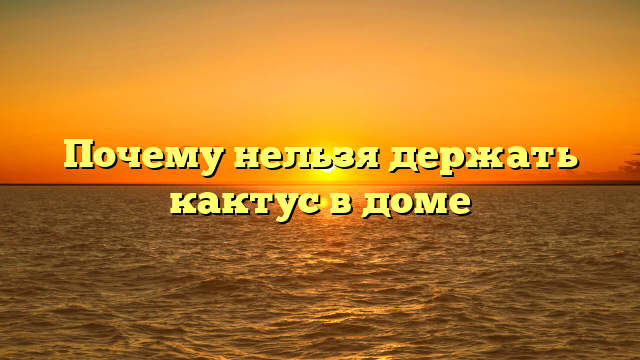 Почему нельзя держать кактус в доме